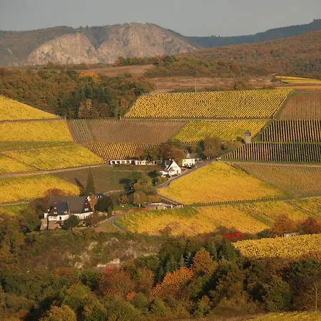 Gut Hermannsberg, Gaestehaus 게스트하우스 Niederhausen