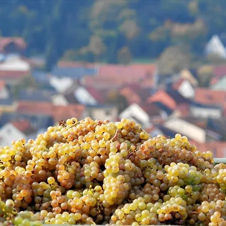 Gut Hermannsberg, Gaestehaus Pensionat 4*