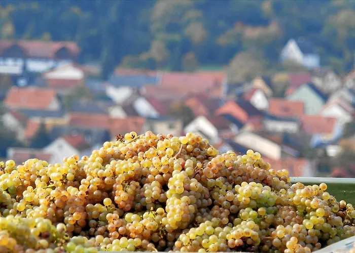 Gut Hermannsberg, Gaestehaus Pensionat 4*