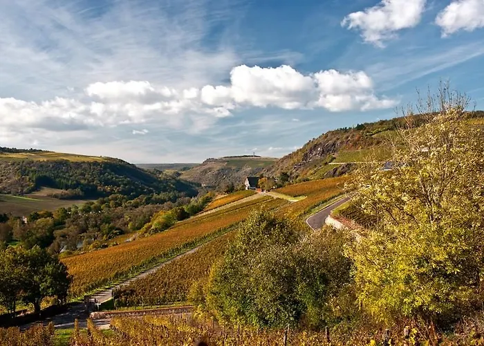 Pensionat Gut Hermannsberg, Gaestehaus Niederhausen